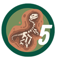 badge